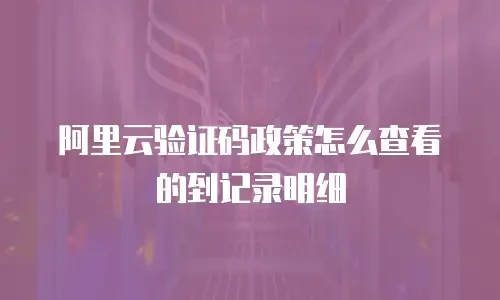 阿里云验证码政策怎么查看的到记录明细