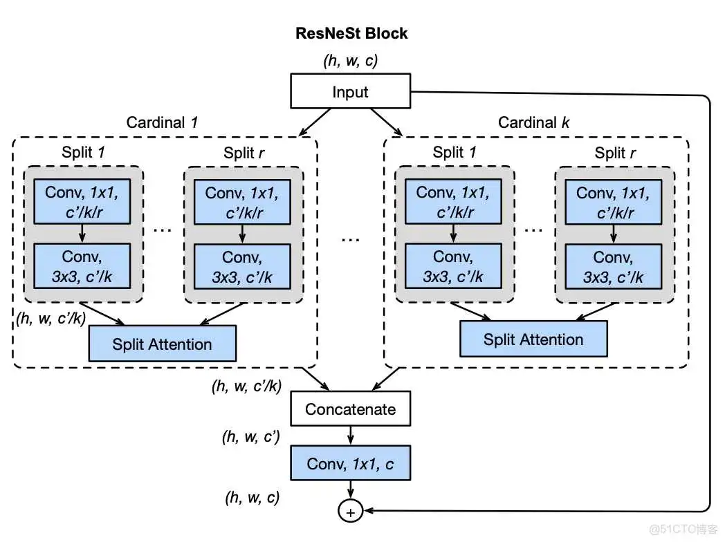 在这里插入图片描述 如何导入resnet在Imagenet上的参数 resnet-d_人工智能_02