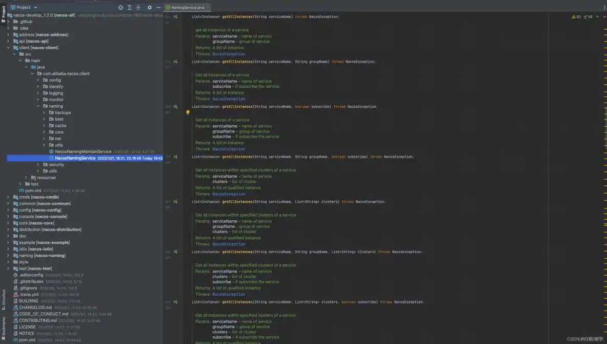 nacos 服务已经注册 但是fegin调用报错 does not have available server_缓存