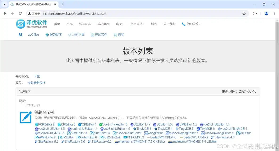 官网示例 .NET – 支持WORD上传的富文本编辑器_word_24