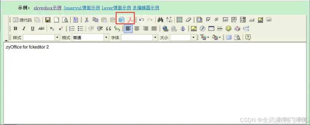 fck2 .NET – 支持WORD上传的富文本编辑器_上传_10