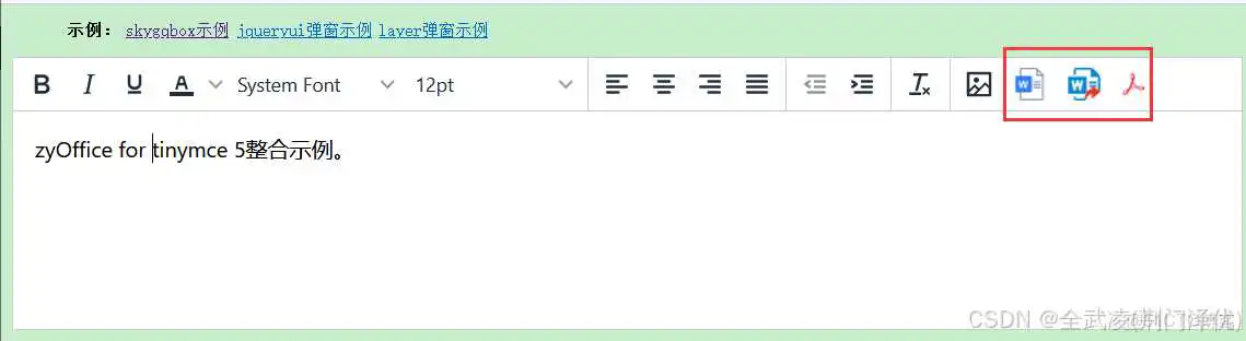 tiny5 .NET – 支持WORD上传的富文本编辑器_.net_22