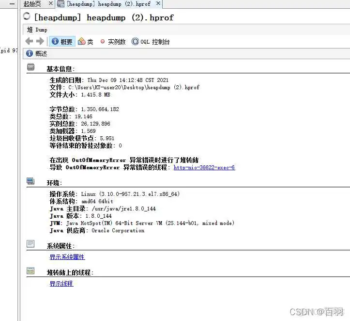 在这里插入图片描述 Memory Analyzer内存溢出问题排查_服务器_03