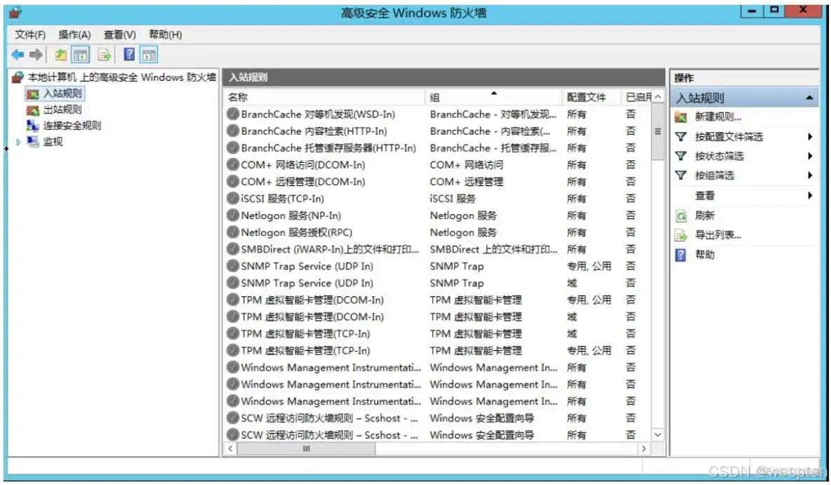 Windows Server操作系统使用详解_虚拟内存_16