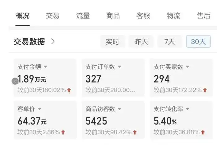 拼多多虚拟U盘电商：月赚2万+，红利项目，普通小白也能玩