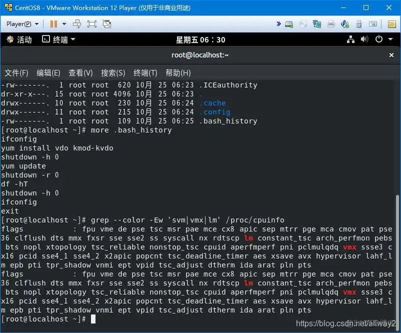 单机虚拟化VOD 单机虚拟化都需要什么_虚拟化_02