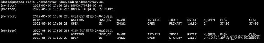 达梦armdocker镜像 达梦集群安装_dba_17