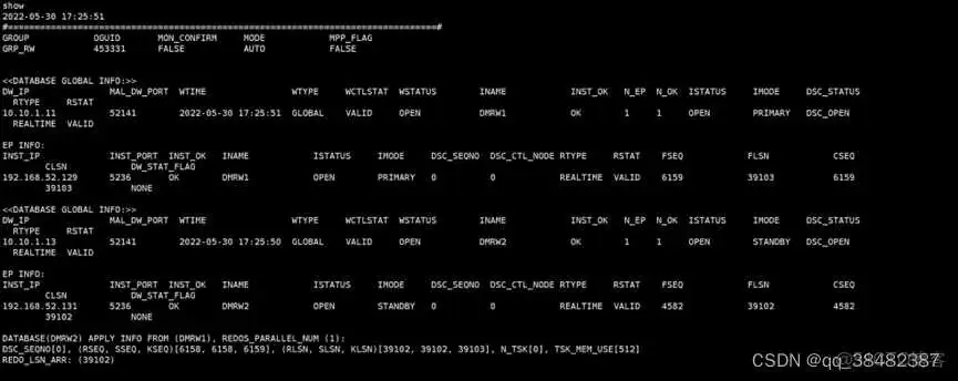 达梦armdocker镜像 达梦集群安装_dba_23