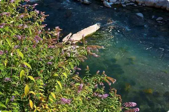 夜晚<a href='/tag/262'>模式</a>怎么开启