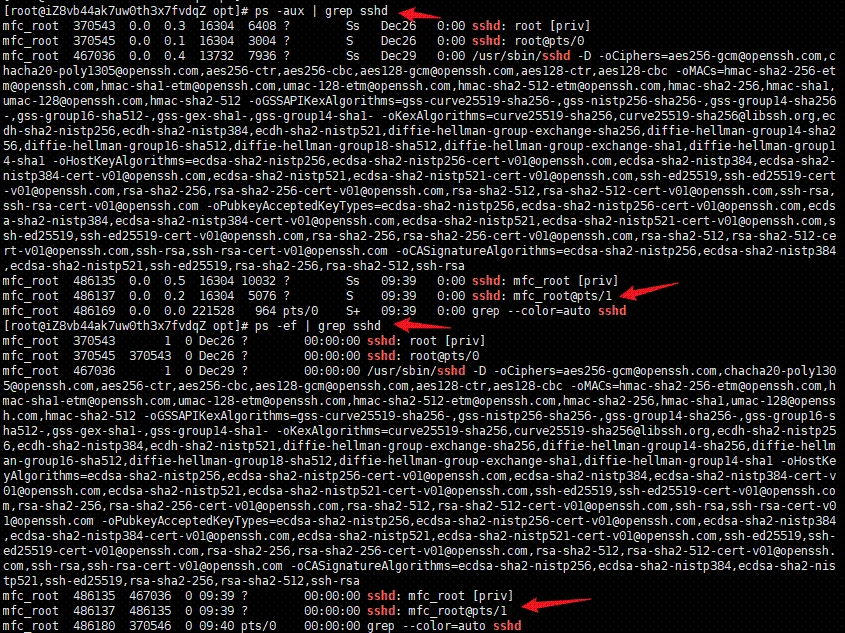 image-20231231094218288