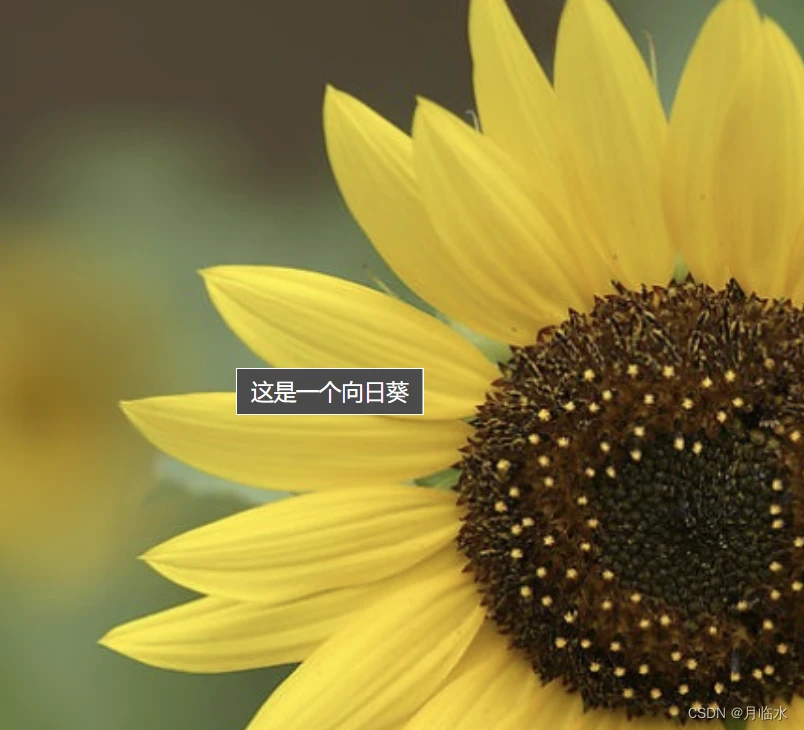 从0开始开发一个简单web界面的学习笔记(HTML类) 从0开始开发一个简单web界面的学习笔记(HTML类)