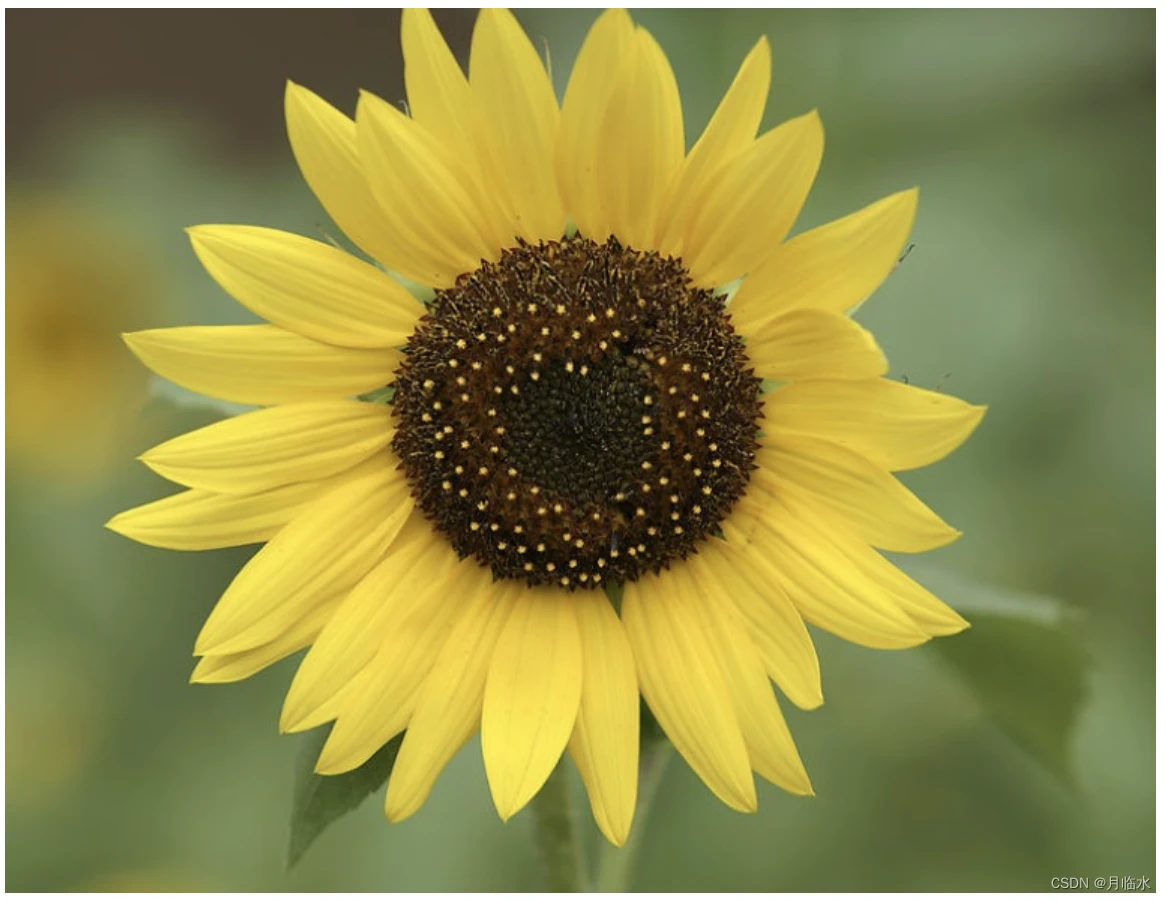 从0开始开发一个简单web界面的学习笔记(HTML类) 从0开始开发一个简单web界面的学习笔记(HTML类)