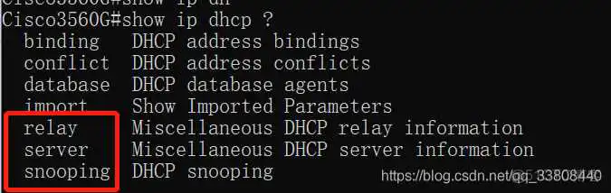 在这里插入图片描述 交换机查看ospf配置_DHCP_14