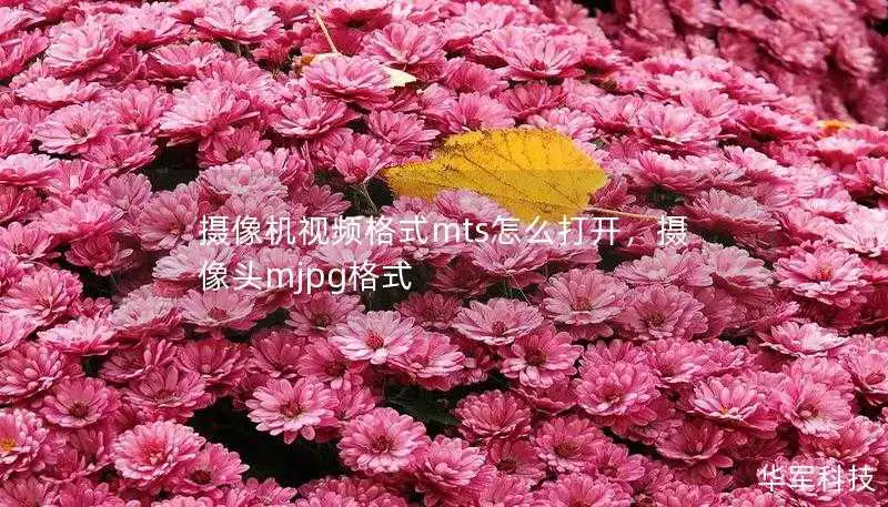 摄像机视频格式mts怎么打开,摄像头mjpg格式 摄像机视频格式mts怎么打开,摄像头mjpg格式