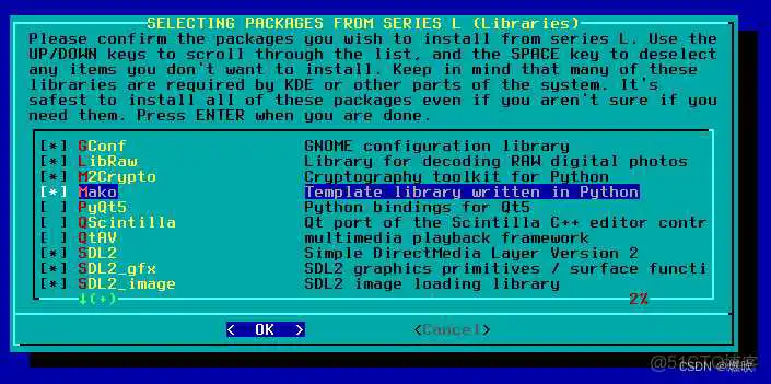 QT_1 WinPE启动盘镜像 光盘_Linux 系统安装_98