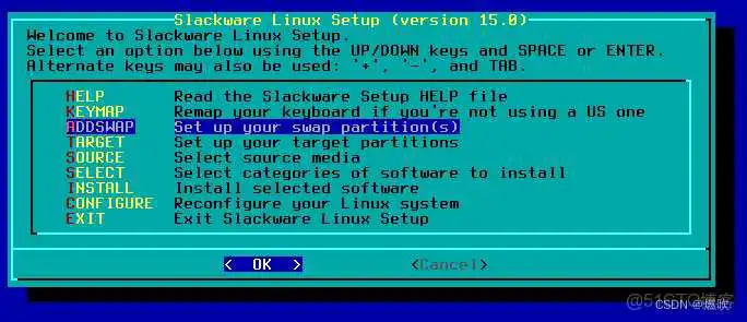Set up uour swap partition(s) WinPE启动盘镜像 光盘_fiuxbox 窗口管理器_69