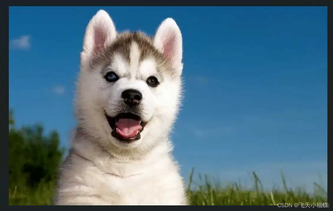 在这里插入图片描述 resnet 图像输入大小 resnet18每层输出尺寸_深度学习