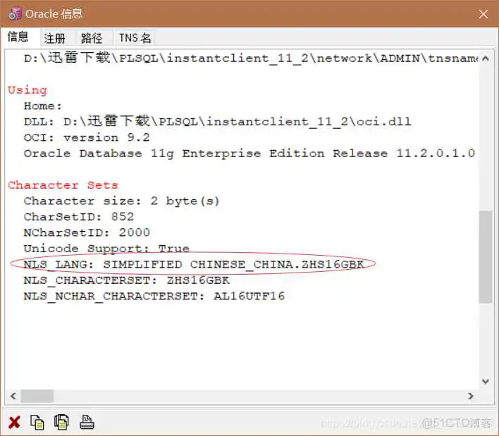 在这里插入图片描述 plsql 本地sql server 数据库_Developer_11