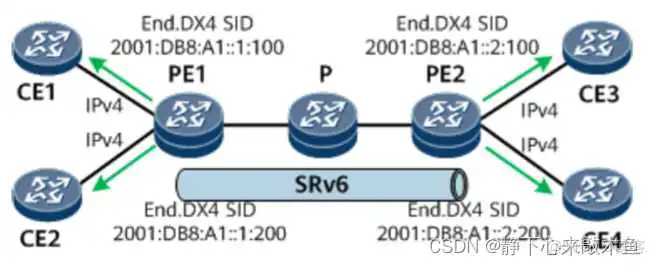SRV6架构_SRV6架构_08