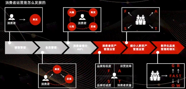 AIPL模型人群细分与精准定位策略解析