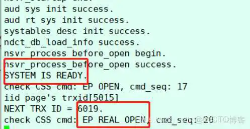 docker 装达梦 达梦集群安装_css_20