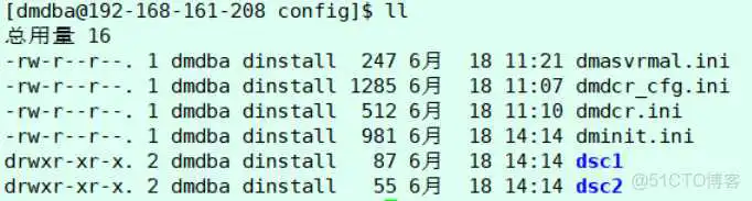 docker 装达梦 达梦集群安装_CSS_18