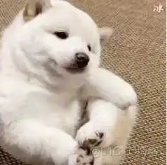 android 性能log_android 性能log_05