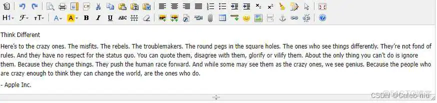 前端必备14款业界受欢迎的富文本编辑器_开发语言_04