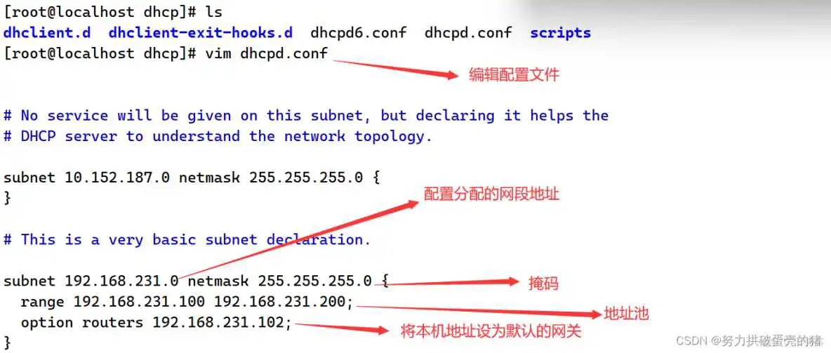 局域网设置镜像文件夹_DHCP_06