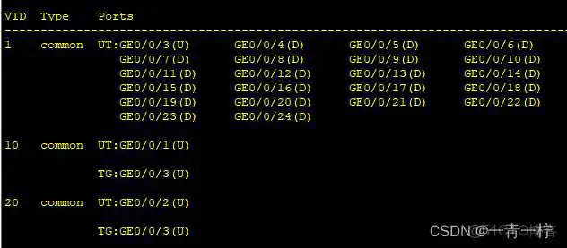 ensps3700配置vlan ensp设置vlan_路由表_02
