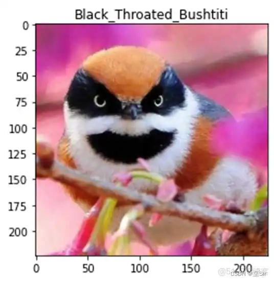ResNet50 推理Demo resnet50详解_python_08