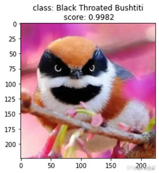 ResNet50 推理Demo resnet50详解_cnn_09