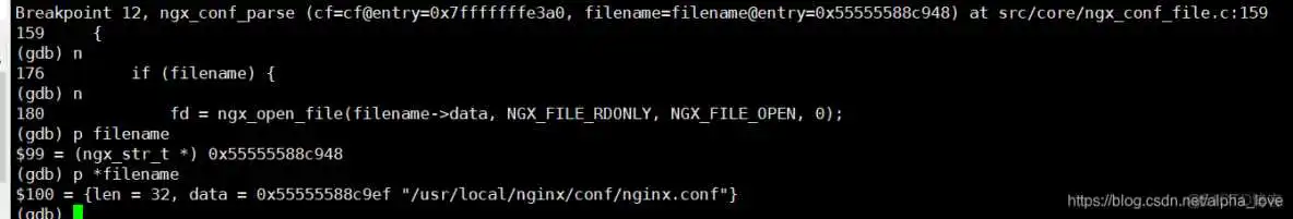 nginx bianliang_初始化_19
