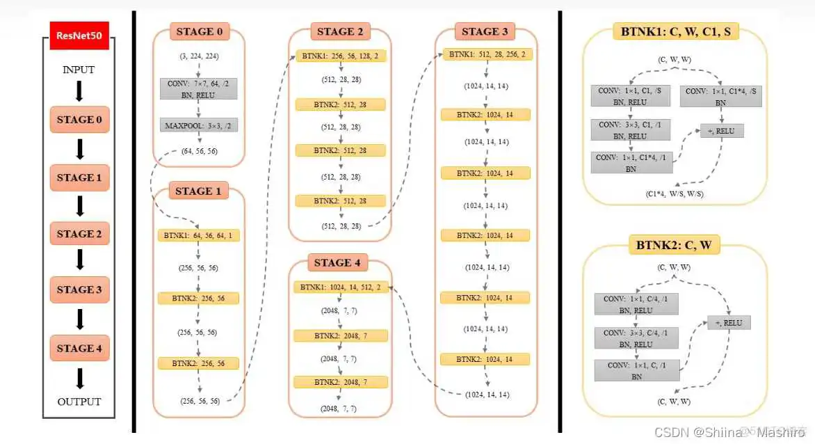 resnet50参数量和模型大小 resnet50参数数量_resnet50参数量和模型大小_02