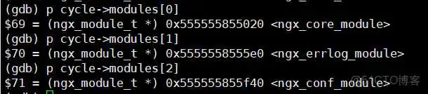 nginx bianliang_配置文件_11