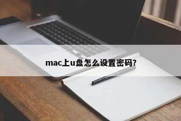mac上u盘怎么设置密码？