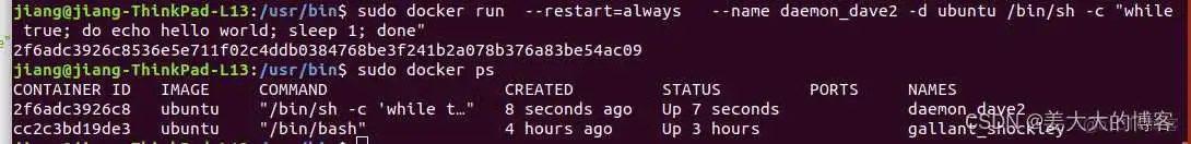 docker容器 shell 启动 docker run shell_bash_15
