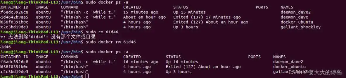 docker容器 shell 启动 docker run shell_linux_19