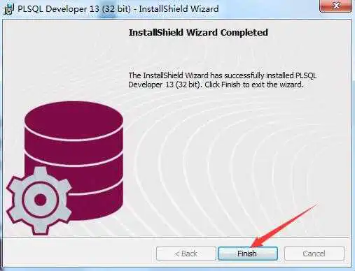 PL/SQL Developer