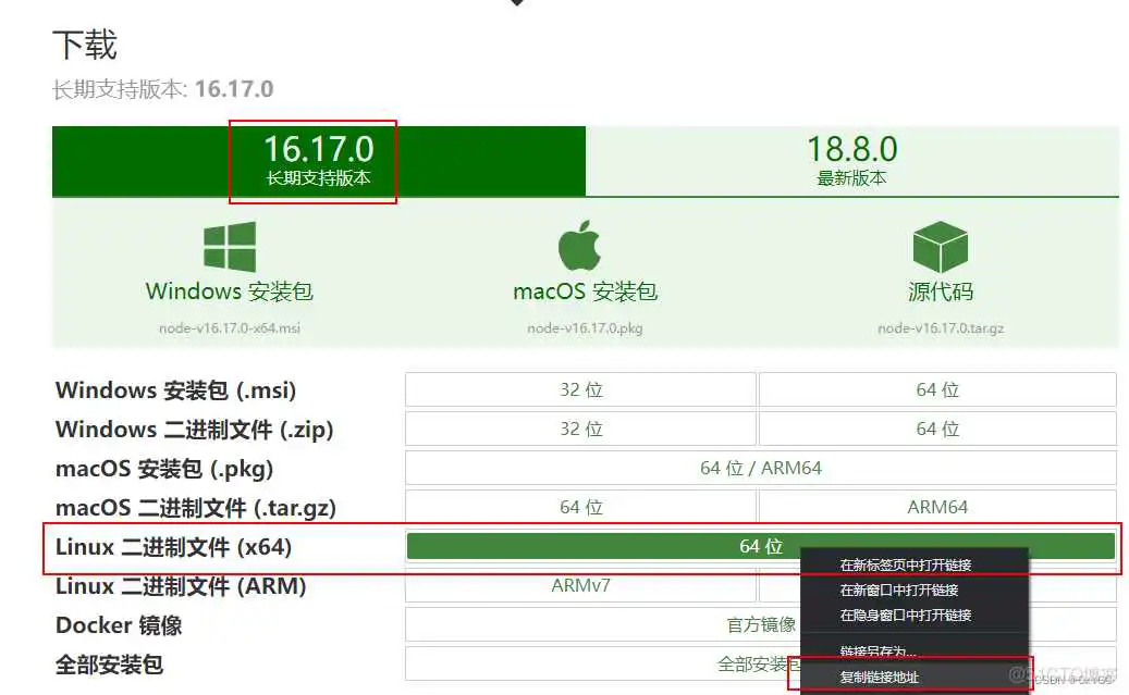 centos npm 安装nodejs centos nodejs安装及环境配置_centos