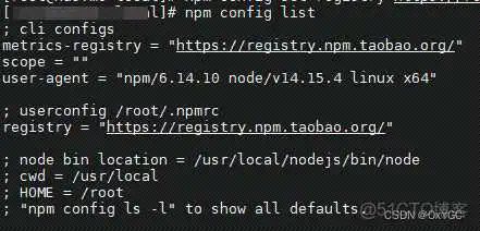 centos npm 安装nodejs centos nodejs安装及环境配置_npm_02