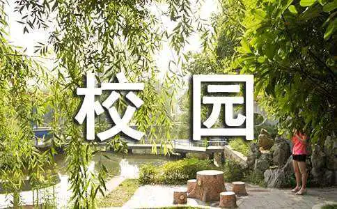 大学生校园不文明行为调查报告（精选9篇）