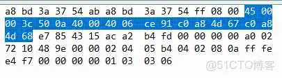 UDP包数据分析 udp协议分析与记录抓包_TCP_06