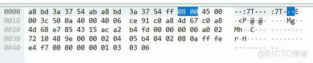 UDP包数据分析 udp协议分析与记录抓包_TCP_03