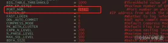 在这里插入图片描述 达梦 默认 schema 达梦默认端口_达梦 默认 schema_02